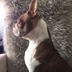 Shirley Klein - @shirleyklein8 - Instagram