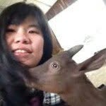 Shirley Ku - @shirley.ku.7 - Instagram