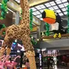 Shirley Ku - @shirleyku38 - TikTok