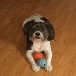 Shirley Kunkle - @kunkleshirley - Instagram