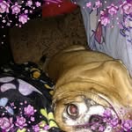 Shirley Mclaughlin - @shirleymmclaughlin31 - Instagram