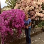 Shirley Lockhart - @lockhartshirleyd - Instagram