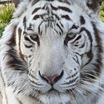 Shirley Luck - @shirls47 - Instagram