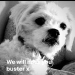 Shirley Luckhurst - @luckhurst_shirley - Instagram