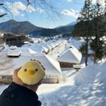 Shirley Yeung - @shirleyluck2002 - Instagram