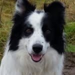 Shirley Mackenzie - @shirleymackenzie1 - Instagram