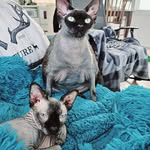 Shirley Manning - @shirley.manning.39 - Instagram