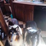 Shirley Manning - @shirleymanning145 - Instagram
