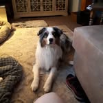 Shirley Manning - @shirley.manning.7 - Instagram