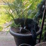 Shirley Manning - @s6907880 - Instagram