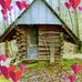 Shirley Maples - Facebook