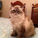 Shirley Maples - Facebook