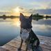 Shirley Mares - Facebook