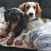 Shirley Marks - Facebook