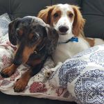 Shirley Marks - @shirley.marks.7 - Instagram