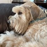 Shirley Marks - @shirleymarks582 - Instagram
