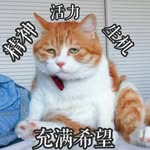 jenny - @shirley_max - Instagram