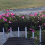 Shirley McCabe - @shirleymcc46 - Instagram