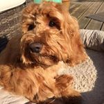 Shirley McCabe - @mccabe3002 - Instagram