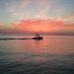 Shirley Mccabe - Facebook