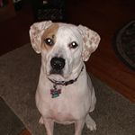 Shirley Caviness McCrary - @cubby1945 - Instagram
