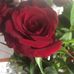 Shirley McElwee - Facebook