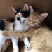 Shirley McFarlane - Facebook