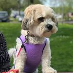 Shirley McFarlane Smith - @shirley.m.smith.5 - Instagram