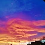 Shirley Meredith - @shirleyl1966 - Instagram