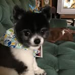 Shirley Messick - Facebook