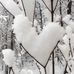 Shirley Minton - Facebook