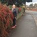 Shirley Morley - Facebook