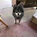 Shirley Morrell - Facebook