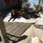 Shirley Morrison - @shirley.morrison.9862273 - Instagram