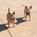 Shirley Bergeson Morse - @bergesonmorse - Instagram
