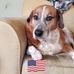 Shirley Mounts - Facebook