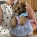 Shirley Mounts - Facebook