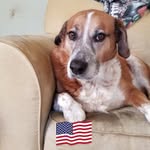 Shirley Mounts - @shirley.mounts.75 - Instagram