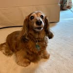Shirley Neumann - @shirlneum - Instagram