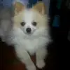 shirleyneumann - @shirleyneumann - TikTok