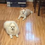 Shirley Null - @null8329 - Instagram