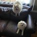Shirley Null - Facebook