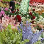 shirleynullan6@gmail.com - @shirleynullan6gmail.com9 - Instagram