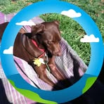 Shirley Nutting - Facebook