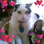 Shirley Miller Oglesby - @shirleyoglesby - Instagram
