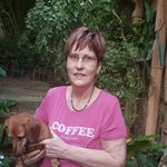 Shirley Opperman - @shirley.opperman - Instagram
