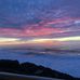 Shirley Beutler Oster - Facebook