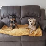 Shirley Foster - @shirley.foster.351 - Instagram