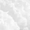 Shirley Osterman - @shirleyosterman607 - TikTok