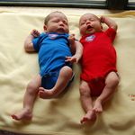 Shirley Xu - @shirleyosterhout - Instagram
